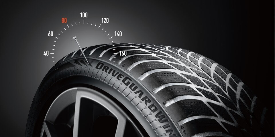 Bridgestone DriveGuard